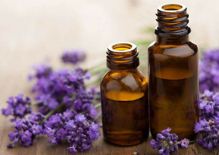 lavender oil for babies