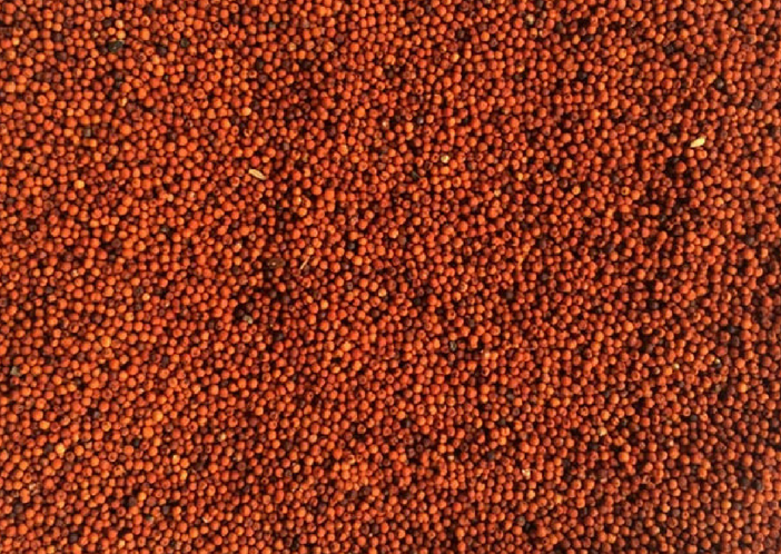 ragi