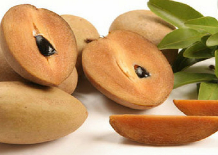 chikoo for babies