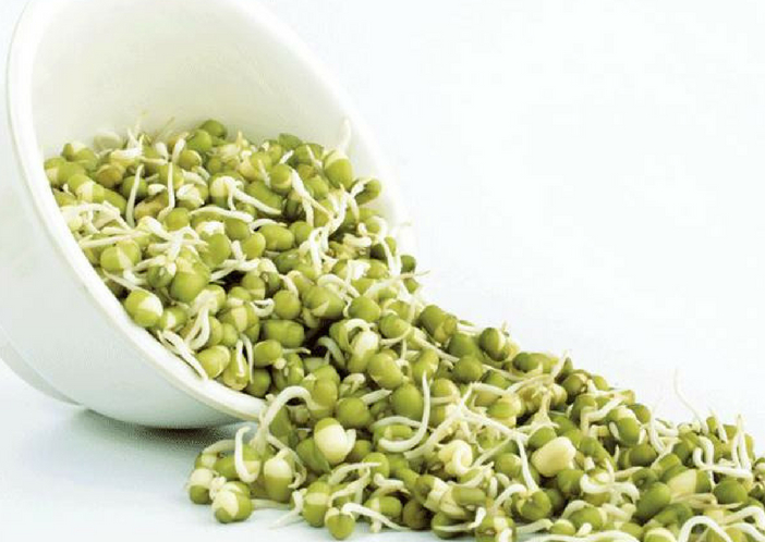 sprouts