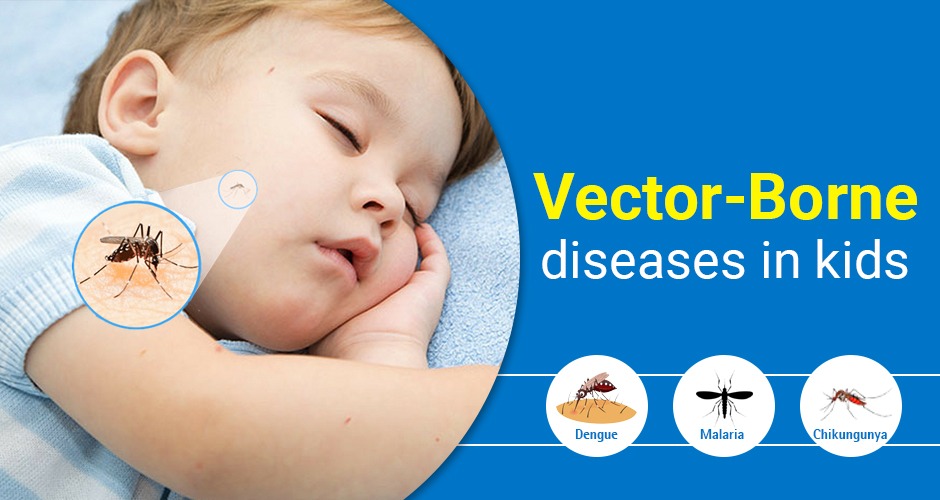 Vector-borne diseases - Causes, Symptoms and Protection